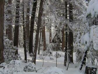 Seasonal Image Twain Wallpaper For Desktop Background HD