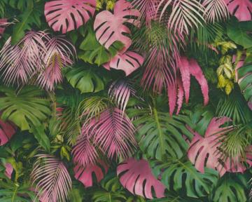 A S Cr Ation Wallpaper Jungle Green Pink