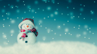 Spread The Joy And Holiday Spirit With This Cute