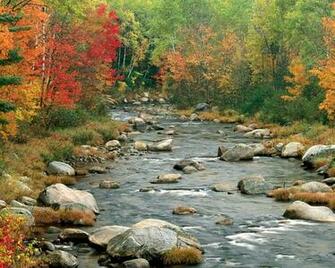 Stylish Zone Beautiful Autumn HD Wallpaper