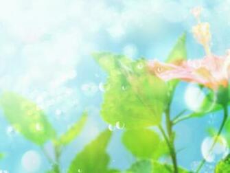 Abstract Nature Wallpaper Bliss Earth