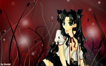 Fate Stay Night Tohsaka Rin Series Fsn Tosaka HD