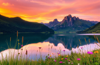 Bing Daily Wallpaper And Screensavers