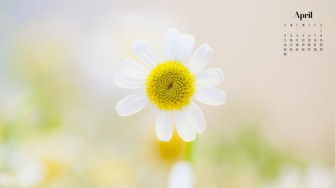 April Wallpaper Best Desktop Phone Background