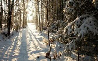Winter Phillips Wisconsin Snow Wallpaper