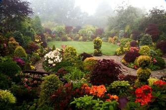 Late Spring Mist Wallpaper