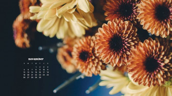 November Wallpaper Bies For Desktop Phones
