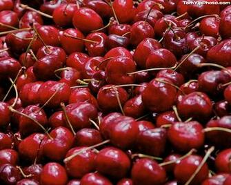 Cherries Wallpaper Cherry