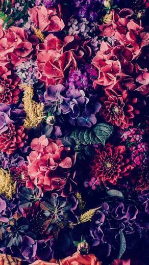 Nice Wallpaper iPhone Plus
