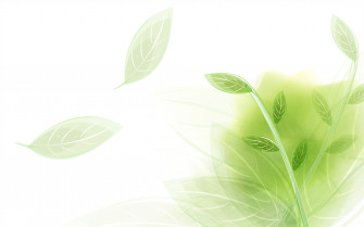Bright Color Wallpaper