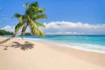 Tropical Island Desktop Background Wallpaper