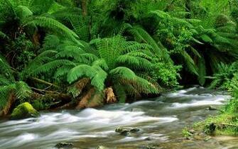 Wallpaper Of Beaitiful Nature Vol No