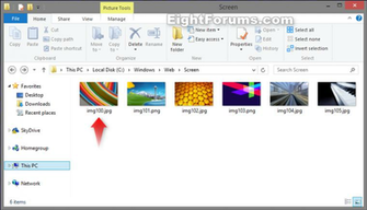Windows Web Screen