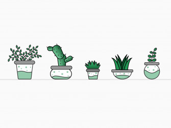 Potted Plants By Simran Mhatre On Dribbble