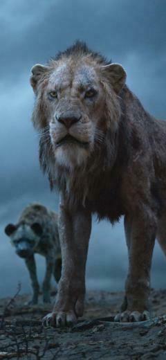 The Lion King Wallpaper High Quality