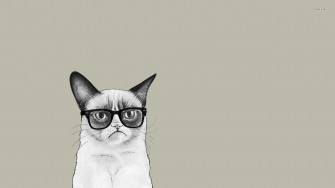 Grumpy Cat Wallpaper