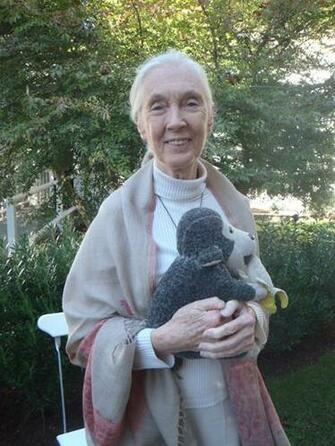 Actress Susan Anspach Maidstone Image Pictures Photos