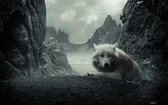 HD Wolf Background Net