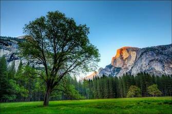 El Capitan Yosemite