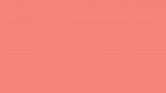 Congo Pink Solid Color Background