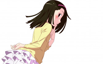 Anime Monogatari Series HD Wallpaper