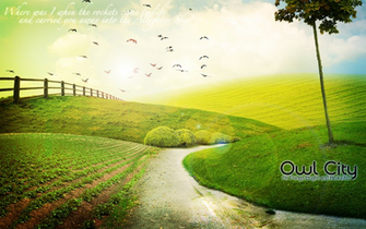 Owl City Wallpaper By Liketodraww