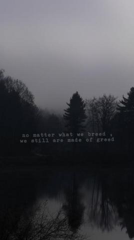 Imagine Dragons Wallpaper