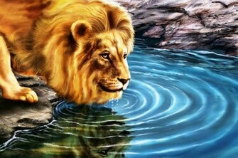 HD 3d Wallpaper For Pc Beautiful Desktop