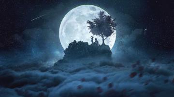 Silhouettes Moon Night Wallpaper Desktop