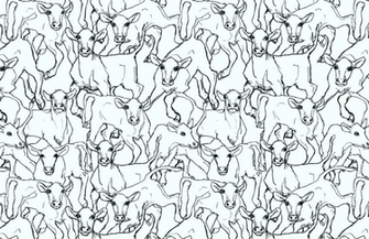 Marimekko Wallpaper HD Quality