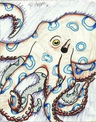 Blue Ringed Octopus Wallpaper