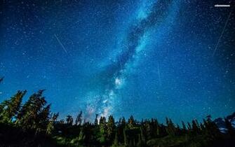 Beautiful Starry Sky Amp Forest Wallpaper