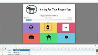 Transparent Image Background In Articulate Storyline