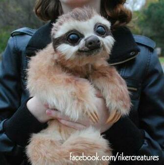 Baby Three Toed Sloth Handmade Poseable Creature By Rikercreatures