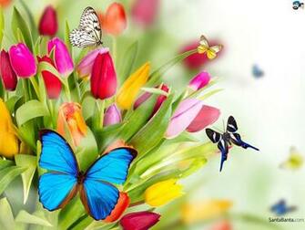 Butterfly Wallpaper