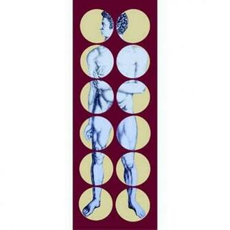 Rolls Fornasetti Cole And Sons Wallpaper Adam Mural Discontinued