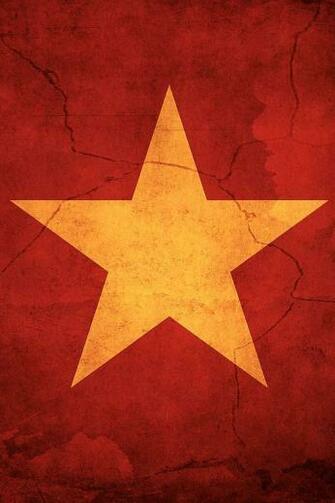 Stars Flag Vietnam iPhone Flags In