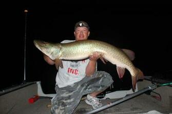 Muskies Desktop Background General Discussion Muskie Fishing