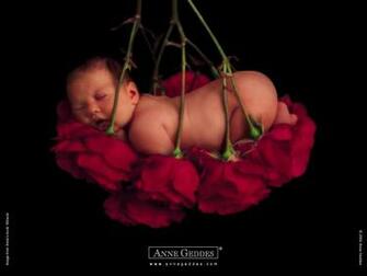 Anne Geddes Wallpaper Fever