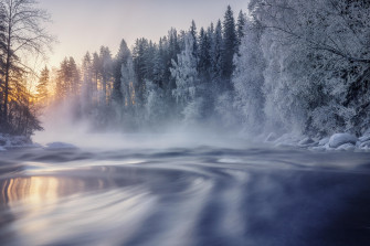Tree Nature Winter 4k Ultra HD Wallpaper By Bansman
