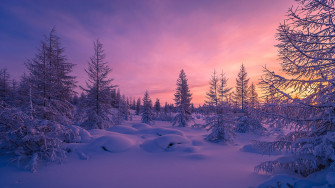 Aesthetic Nature Wallpaper Top Best