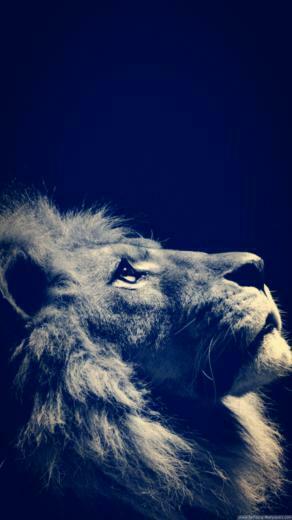 Samsung Galaxy S3 S4 S5 S6 Wallpaper