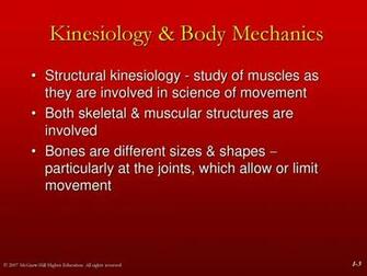 Chapter Foundations Of Structural Kinesiology Ppt