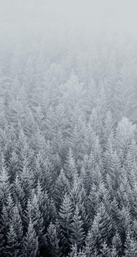 iPhone 5s Wallpaper Size Issues