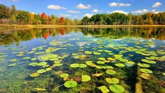 Pond Wallpaper Best HD Image Of High