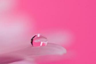 Pink HD Wallpaper Colorful Girly Background Hair Sty Celebrity