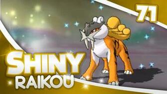 Raikou Wallpaper Solrock Shiny
