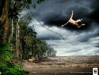 Fund Tarzan World Wildlife Wallpaper