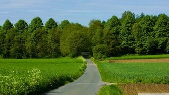 Summer Landscape Nature Wallpaper
