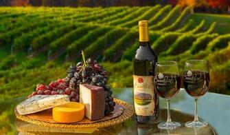 Photo Galleries Burntshirt Vineyards Hendersonville Nc